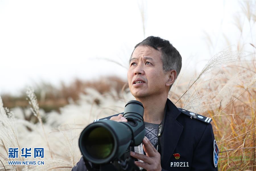 （新春走基層&middot;圖文互動(dòng)）他們，默默守護(hù)候鳥