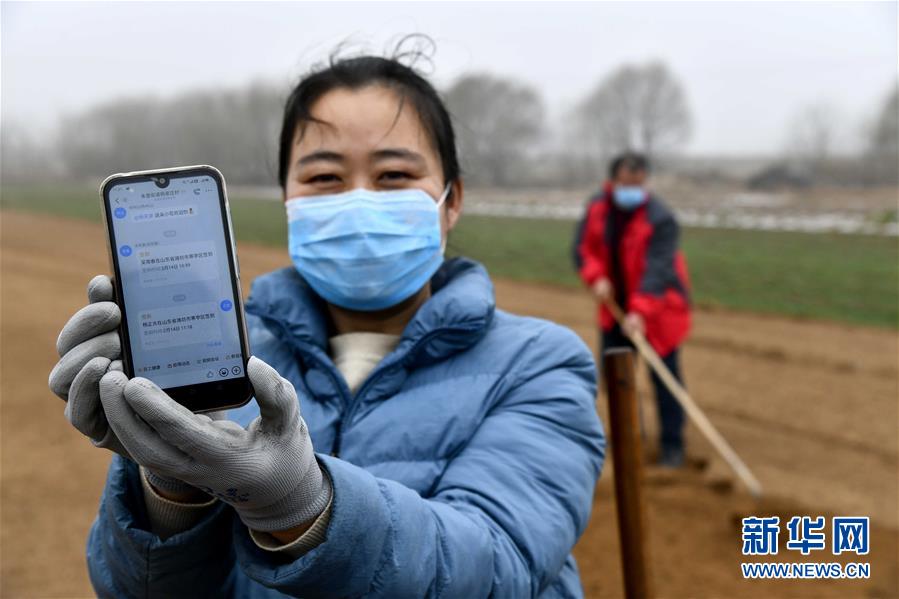 （圖文互動）（2）別樣的春耕&mdash;&mdash;來自農業(yè)大省山東的春耕備耕見聞