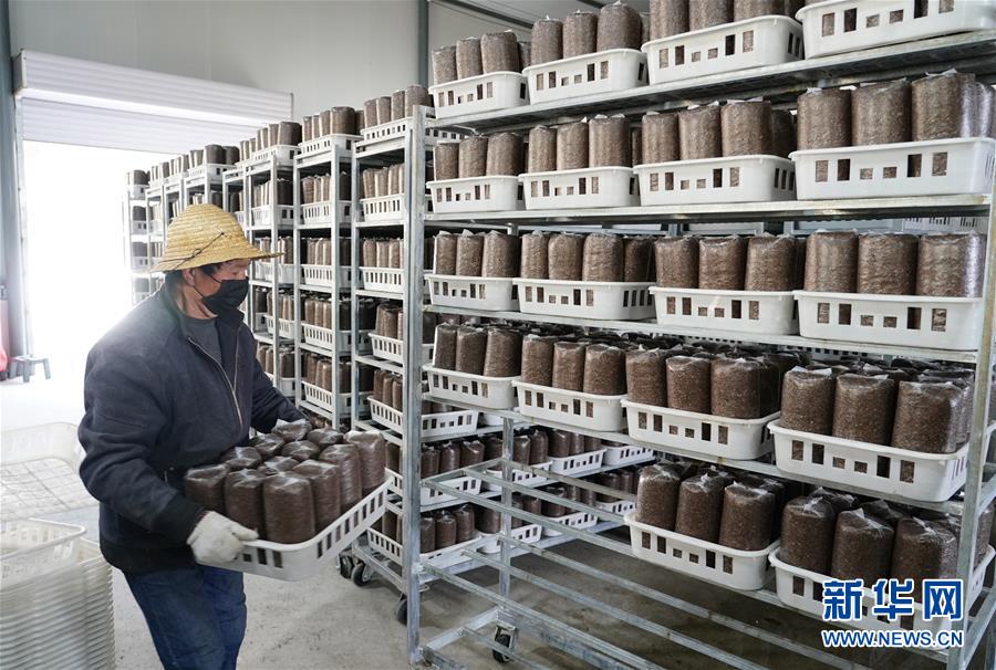 （決戰(zhàn)決勝脫貧攻堅&middot;圖文互動）（1）秦巴山區(qū)：戰(zhàn)疫戰(zhàn)貧，兩場仗都要打贏