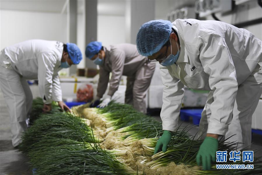 （圖文互動(dòng)）（6）&ldquo;早一天復(fù)工，損失就少一點(diǎn)&rdquo;&mdash;&mdash;廣西以精準(zhǔn)防控推動(dòng)復(fù)工復(fù)產(chǎn)一線見聞