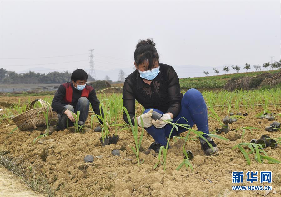 （在習(xí)近平新時(shí)代中國(guó)特色社會(huì)主義思想指引下——新時(shí)代新作為新篇章·習(xí)近平總書記關(guān)切事·圖文互動(dòng)）（5）為農(nóng)田注入硬核生產(chǎn)力——一些地方春耕中農(nóng)業(yè)科技創(chuàng)新掃描