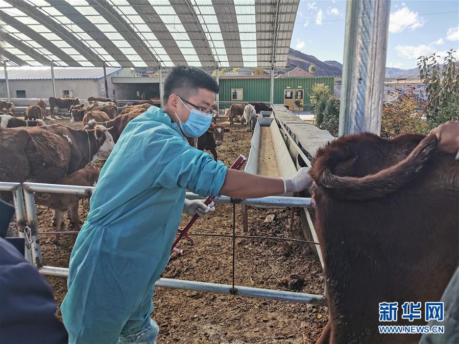 （決戰(zhàn)決勝脫貧攻堅(jiān)&middot;圖文互動(dòng)）（2）脫貧&ldquo;不暫停&rdquo; 服務(wù)&ldquo;不打烊&rdquo;&mdash;&mdash;天津通過(guò)&ldquo;云端&rdquo;幫扶為甘肅受援地區(qū)戰(zhàn)貧繼續(xù)助力