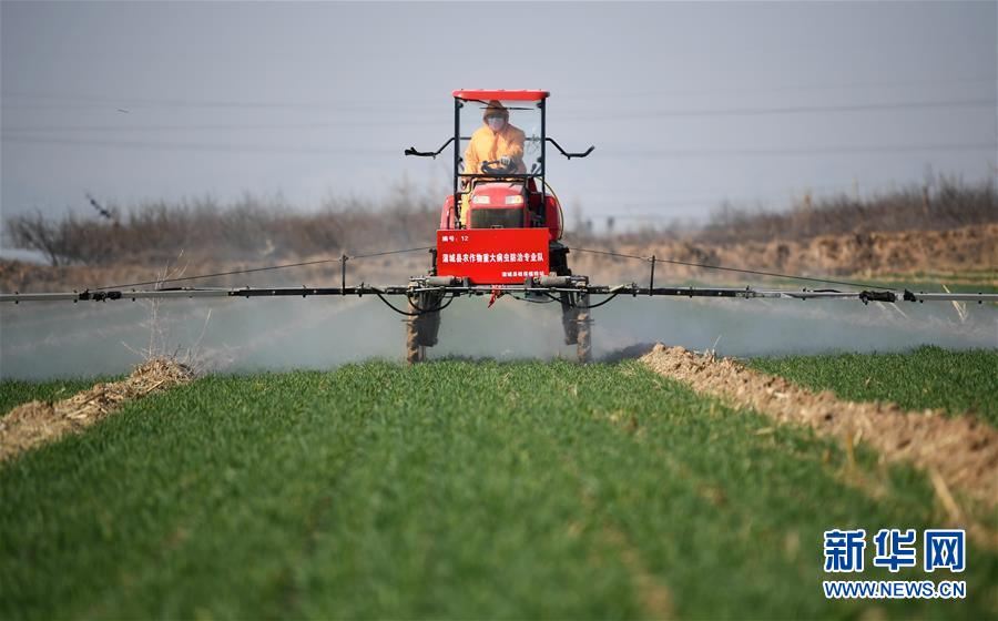 （新華全媒頭條&middot;圖文互動）（9）春色最濃在田間&mdash;&mdash;來自全國春耕備耕的現(xiàn)場觀察