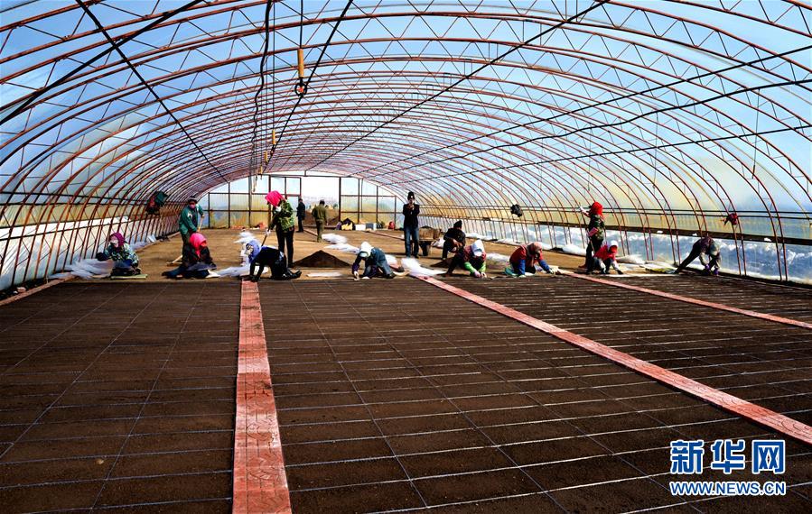 （在習(xí)近平新時代中國特色社會主義思想指引下&mdash;&mdash;新時代新作為新篇章&middot;習(xí)近平總書記關(guān)切事&middot;圖文互動）（5）希望的田野，希望的春天&mdash;&mdash;各地農(nóng)業(yè)生產(chǎn)新動態(tài)掃描