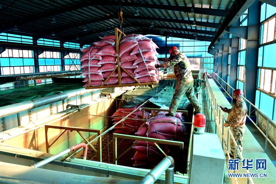 （在習(xí)近平新時代中國特色社會主義思想指引下&mdash;&mdash;新時代新作為新篇章&middot;習(xí)近平總書記關(guān)切事&middot;圖文互動）（6）希望的田野，希望的春天&mdash;&mdash;各地農(nóng)業(yè)生產(chǎn)新動態(tài)掃描