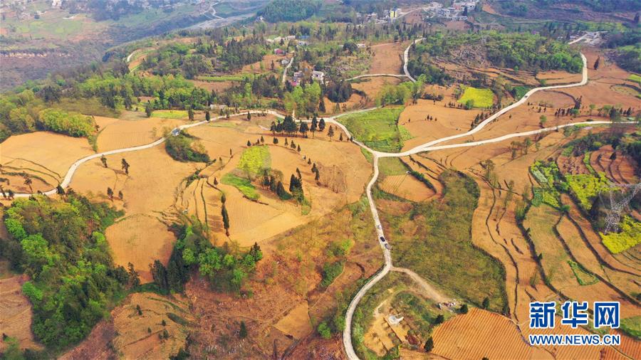 （決戰(zhàn)決勝脫貧攻堅(jiān)&middot;圖文互動(dòng)）（2）寄相思，償夙愿&mdash;&mdash;5封清明&ldquo;家書&rdquo;里的決戰(zhàn)決勝信念