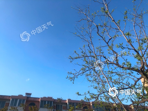 陣風(fēng)8級！北京遭遇雨后大降溫 北風(fēng)勁吹需添衣