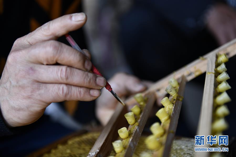 （決戰(zhàn)決勝脫貧攻堅&middot;圖文互動）（4）一位農(nóng)民的產(chǎn)業(yè)扶貧成績單 