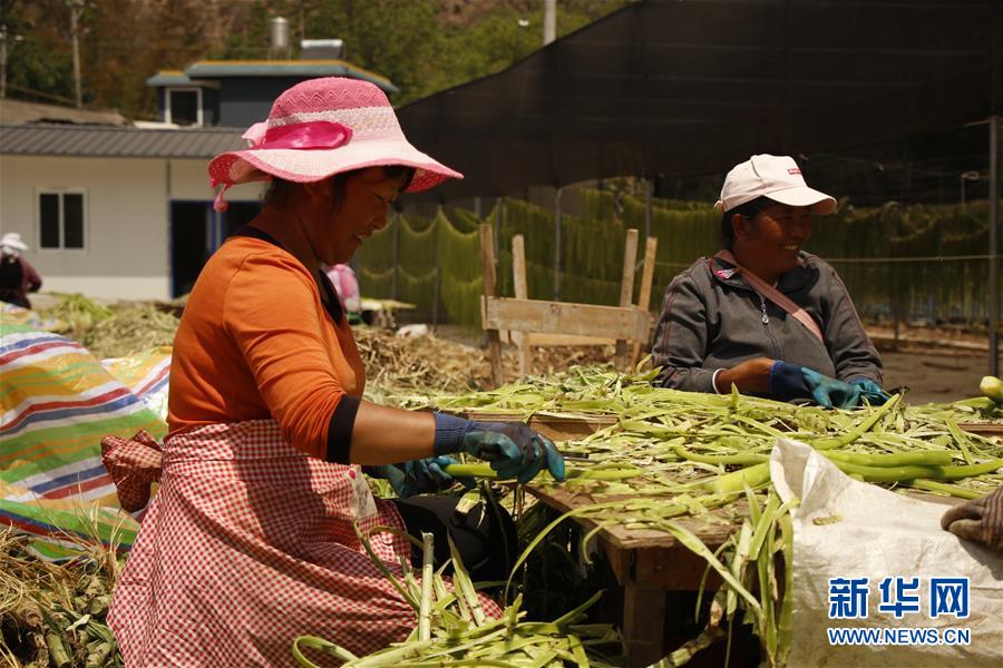 （在習(xí)近平新時(shí)代中國(guó)特色社會(huì)主義思想指引下&mdash;&mdash;新時(shí)代新作為新篇章&middot;習(xí)近平總書記關(guān)切事&middot;圖文互動(dòng)）（4）啃下最后的硬骨頭&mdash;&mdash;脫貧攻堅(jiān)掛牌督戰(zhàn)進(jìn)行時(shí)