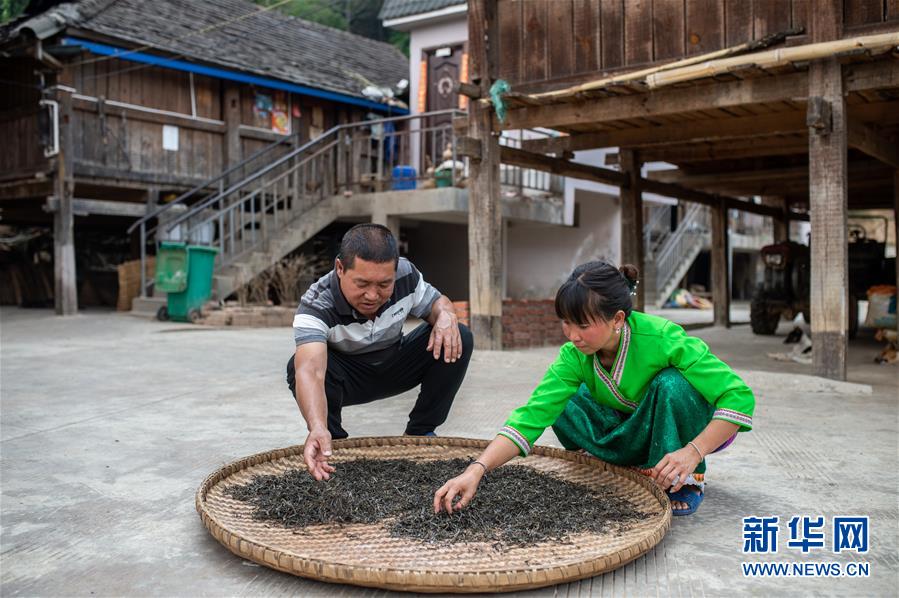 （決戰(zhàn)決勝脫貧攻堅·圖文互動）（5）“孩子再也不用學(xué)打獵了”——拉祜族女獵手告別狩獵