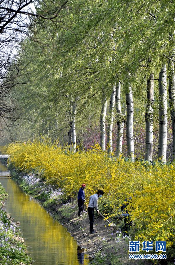 （新華全媒頭條&middot;圖文互動）（4）永遠的夢想 永恒的追求&mdash;&mdash;寫在北京世園會開幕一周年之際