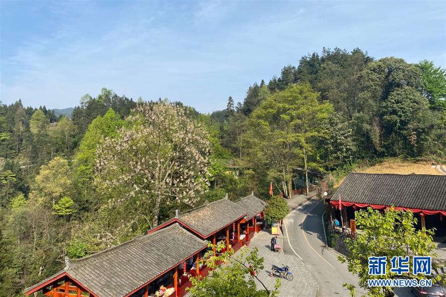 （決戰(zhàn)決勝脫貧攻堅(jiān)&middot;圖文互動(dòng)）（1）深山苗寨的別樣春天&mdash;&mdash;疫情下的十八洞村見(jiàn)聞