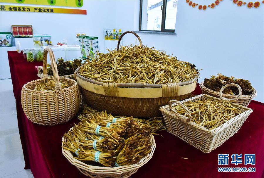 （新華全媒頭條&middot;圖文互動）（3）初夏，循著總書記的腳步探訪產(chǎn)業(yè)扶貧新事