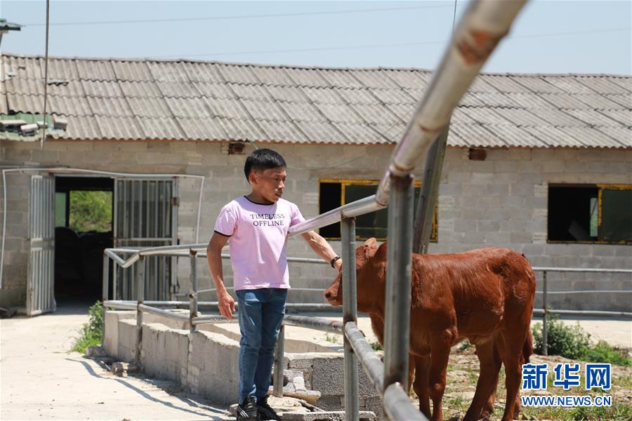 （新華全媒頭條&middot;圖文互動）（8）刺梨花開滿山紅&mdash;&mdash;記在貴州脫貧攻堅一線奮斗的殘疾人