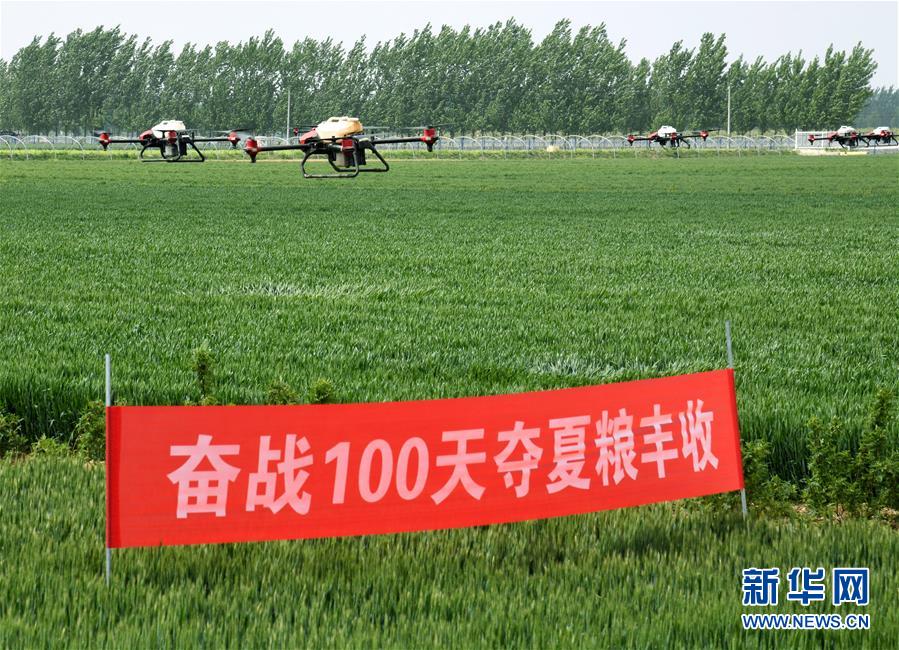 （在習(xí)近平新時(shí)代中國(guó)特色社會(huì)主義思想指引下&mdash;&mdash;新時(shí)代新作為新篇章&middot;習(xí)近平總書記關(guān)切事&middot;圖文互動(dòng)）（9）新農(nóng)事、新希望&mdash;&mdash;夏收前田間新動(dòng)態(tài)掃描