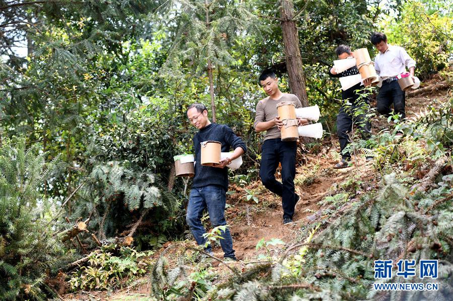 （決戰(zhàn)決勝脫貧攻堅(jiān)&middot;圖文互動）（1）&ldquo;小蜂王&rdquo;的大夢想