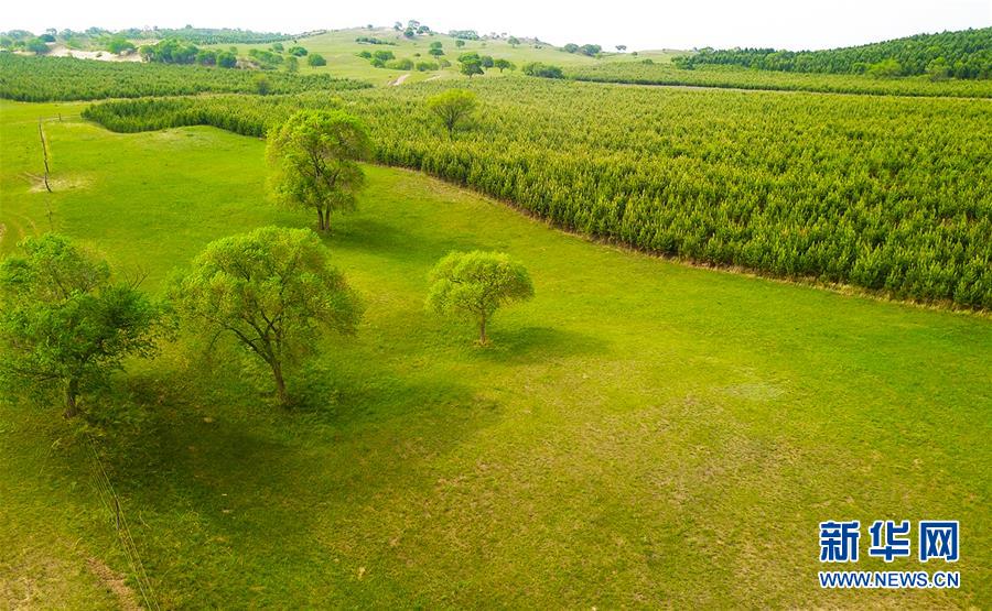 (新華全媒頭條·圖文互動)(1)京津最近“大沙盆”逆轉(zhuǎn)記