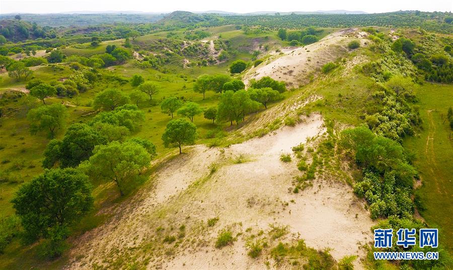 (新華全媒頭條·圖文互動)(7)京津最近“大沙盆”逆轉(zhuǎn)記