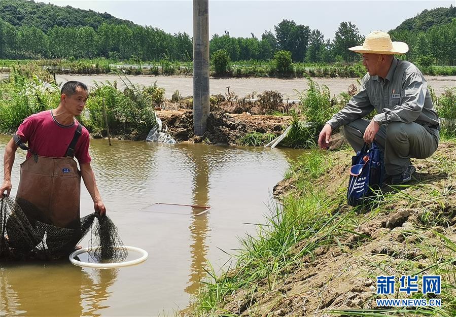 （決戰(zhàn)決勝脫貧攻堅(jiān)&middot;圖文互動(dòng)）（3）駐村第一書記當(dāng)起&ldquo;蝦農(nóng)&rdquo;&ldquo;牛倌&rdquo;
