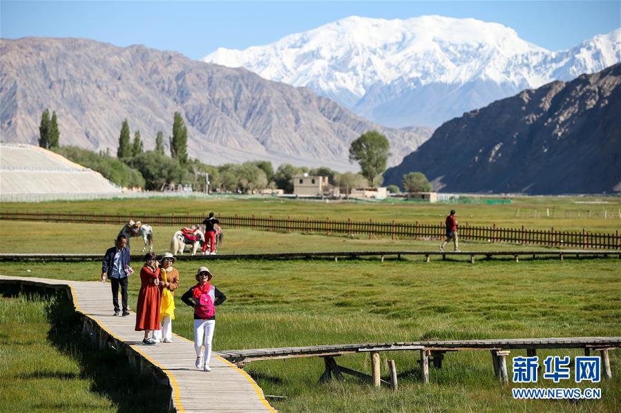 （新華全媒頭條&middot;圖文互動(dòng)）（15）飛吧，&ldquo;帕米爾雄鷹&rdquo;！