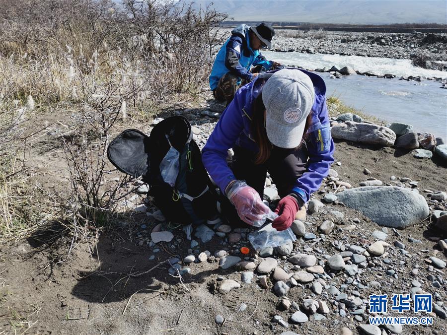 （圖文互動）（2）祁連山國家公園首個荒漠貓專項調查取得階段性成果