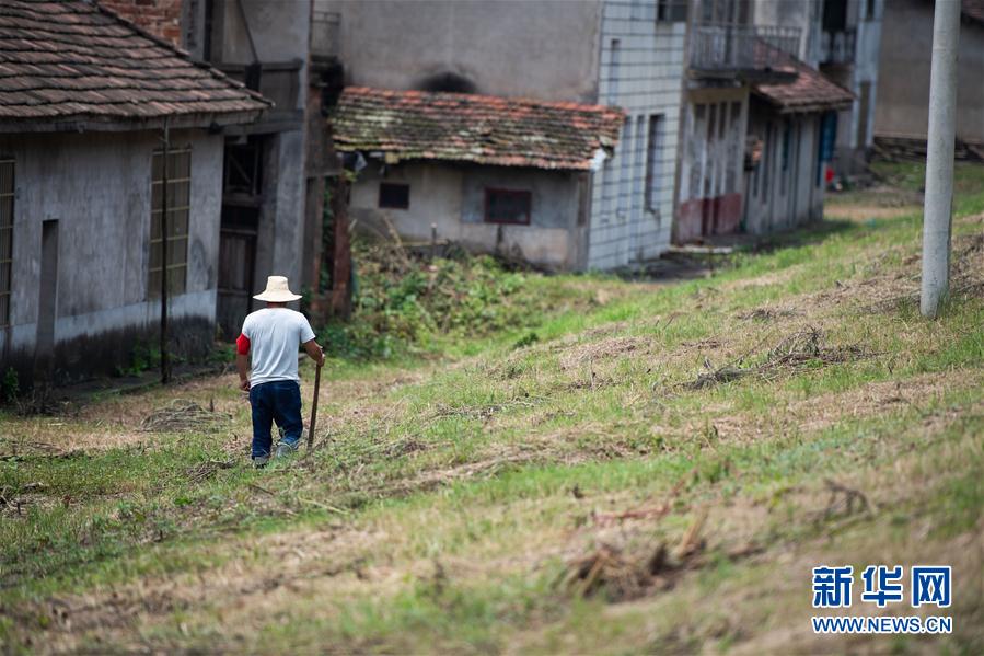 (防汛抗洪·圖文互動)(3)鏖戰(zhàn)南洞庭