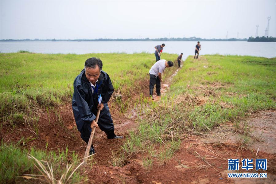 (防汛抗洪·圖文互動)(9)鏖戰(zhàn)南洞庭