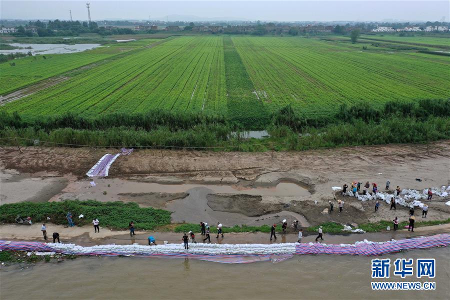 （新華全媒頭條&middot;圖文互動(dòng)）（2）鏖戰(zhàn)江新洲