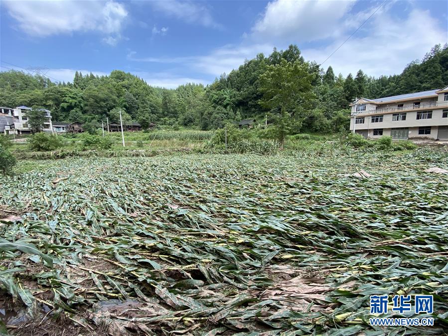 （防汛抗洪·圖文互動）（4）山洪襲來前，澧水河畔大轉(zhuǎn)移