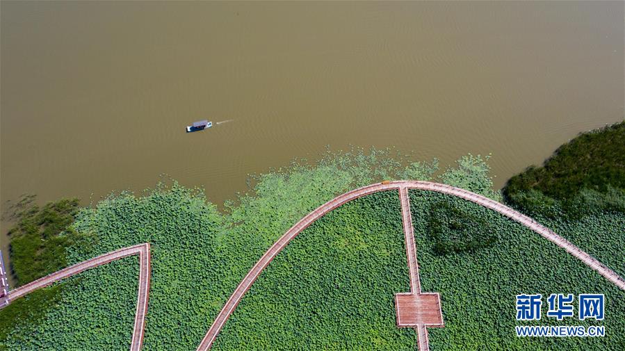 （在習(xí)近平新時代中國特色社會主義思想指引下&mdash;&mdash;新時代新作為新篇章&middot;習(xí)近平總書記關(guān)切事&middot;圖文互動）（8）綠色映底蘊，山水見初心&mdash;&mdash;生態(tài)優(yōu)先、綠色發(fā)展持續(xù)造福群眾美好生活