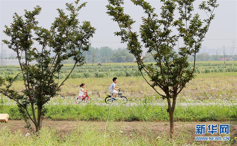 （新華全媒頭條·走向我們的小康生活·圖文互動）（14）城市，讓人民生活更美好