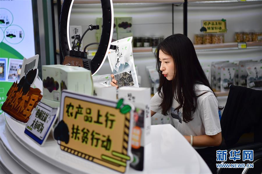 （走向我們的小康生活&middot;圖文互動(dòng)）（3）綠了青山，紅了日子&mdash;&mdash;秦巴山區(qū)群眾繪出小康&ldquo;調(diào)色板&rdquo;