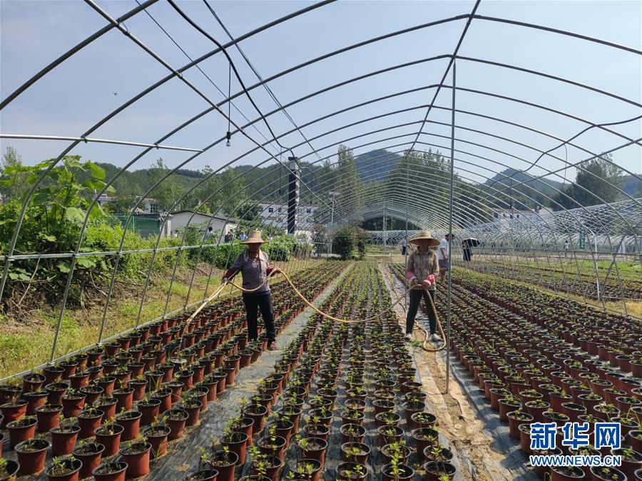 （決戰(zhàn)決勝脫貧攻堅(jiān)·圖文互動）（3）安居樂業(yè)并重，搬遷脫貧同步——湖北88萬搬遷群眾脫貧觀察 