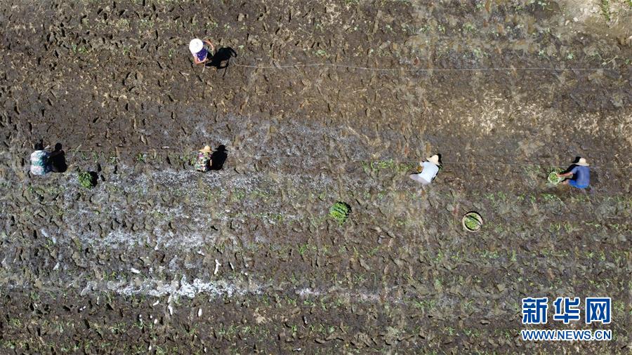 （在習(xí)近平新時(shí)代中國特色社會(huì)主義思想指引下&mdash;&mdash;新時(shí)代新作為新篇章&middot;習(xí)近平總書記關(guān)切事&middot;圖文互動(dòng)）（8）一切為了人民&mdash;&mdash;寫在全國防汛救災(zāi)取得階段性重大勝利之時(shí)