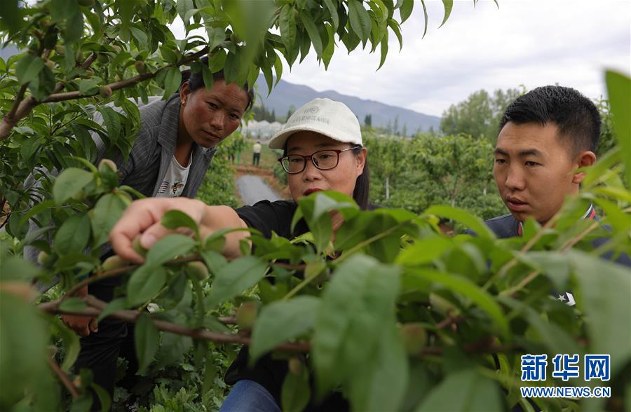 （決戰(zhàn)決勝脫貧攻堅(jiān)·督戰(zhàn)未摘帽貧困縣·圖文互動(dòng)）（3）12000多個(gè)“火種”點(diǎn)亮大涼山