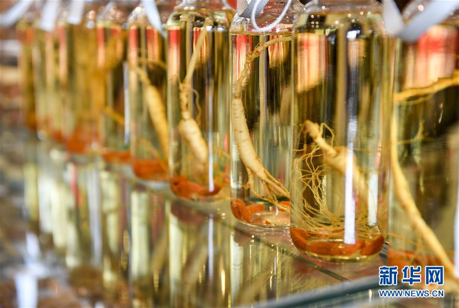 （走向我們的小康生活）（13）人參產業(yè)助民增收