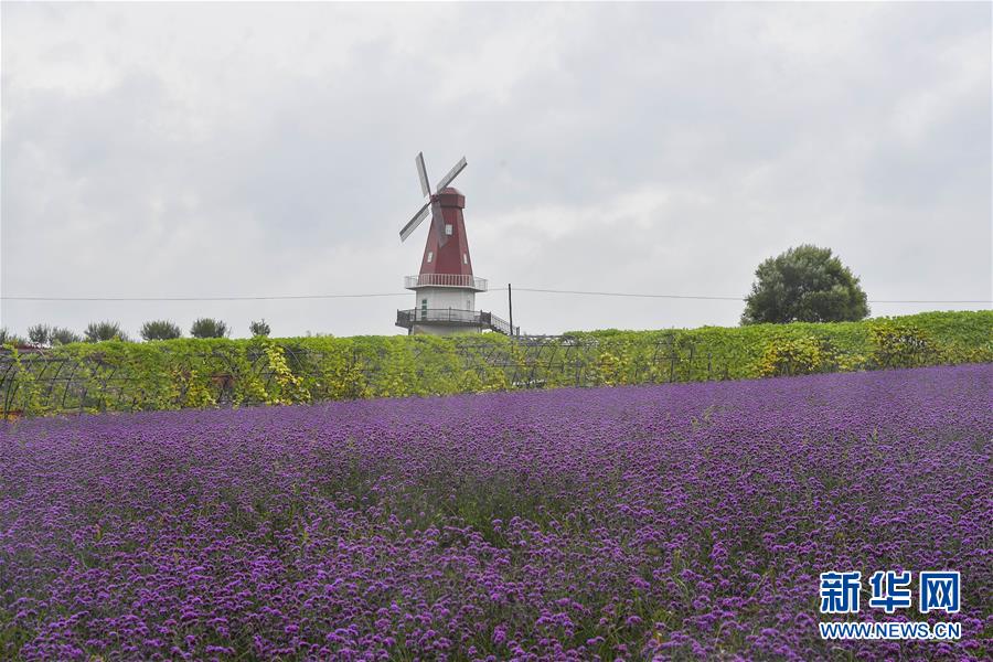 （新華全媒頭條&middot;走向我們的小康生活&middot;圖文互動）（6）黑土地上是我家&mdash;&mdash;在吉林，一瞥中國東北鄉(xiāng)村美麗未來