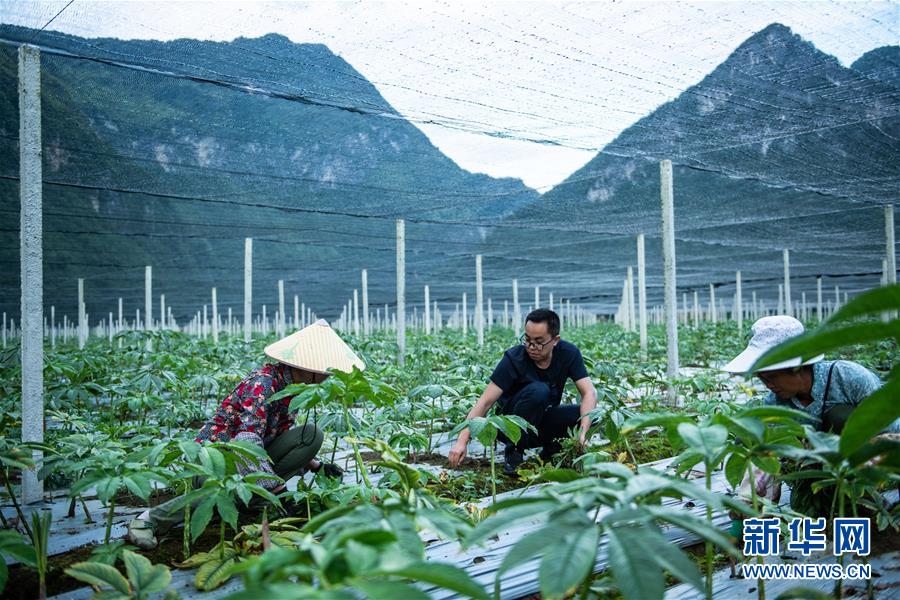 （新華全媒頭條·決戰(zhàn)決勝脫貧攻堅(jiān)·督戰(zhàn)未摘帽貧困縣·圖文互動）（10）把“最能打的人”放在最需要的地方——聚焦貴州未脫貧縣里的“助攻干部”