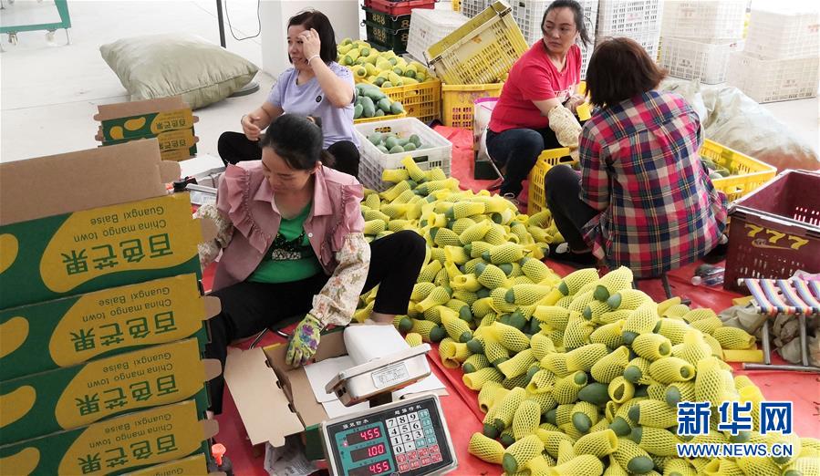 （決戰(zhàn)決勝脫貧攻堅(jiān)&middot;圖文互動(dòng)）（3）同飲一江水 攜手&ldquo;斬窮根&rdquo;&mdash;&mdash;深圳對(duì)口廣西河池、百色扶貧協(xié)作見(jiàn)聞