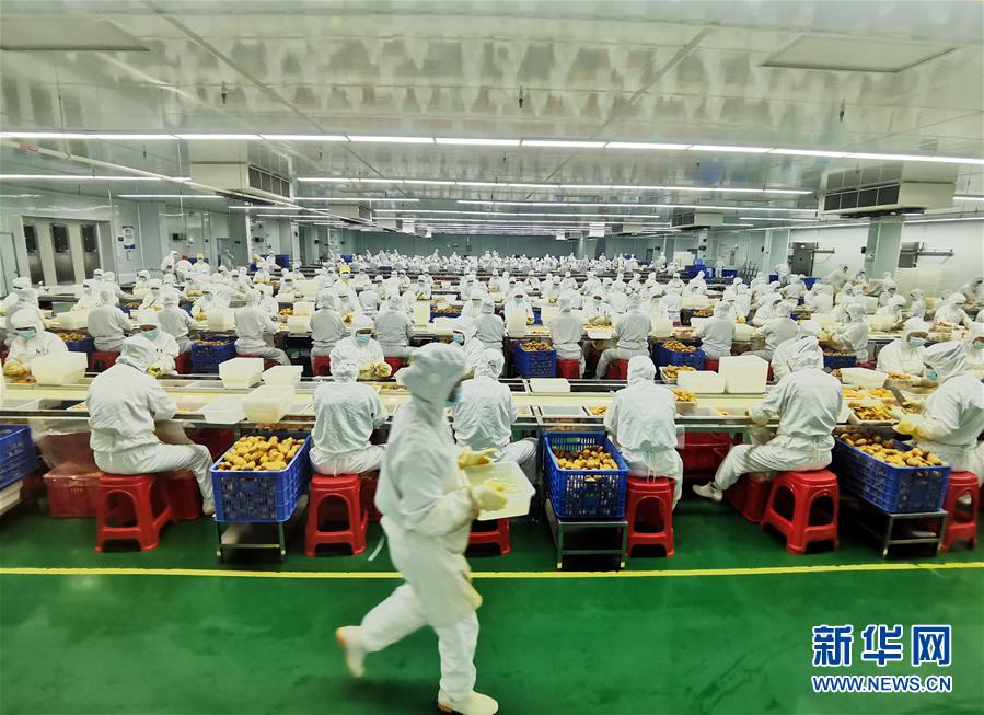 （決戰(zhàn)決勝脫貧攻堅(jiān)&middot;圖文互動(dòng)）（8）同飲一江水 攜手&ldquo;斬窮根&rdquo;&mdash;&mdash;深圳對(duì)口廣西河池、百色扶貧協(xié)作見(jiàn)聞