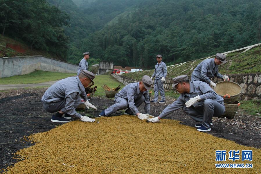 （在習近平強軍思想指引下·我們在戰(zhàn)位報告·圖文互動）（3）牢記統(tǒng)帥囑托  做刀尖上的舞者——記聯(lián)勤保障部隊某報廢武器彈藥銷毀站參謀長陳雪禮