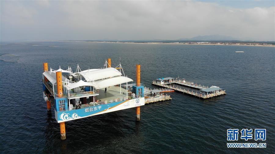 （新華全媒頭條&middot;圖文互動(dòng)）（7）&ldquo;拔&rdquo;海起牧場 &ldquo;耕&rdquo;海新牧歌