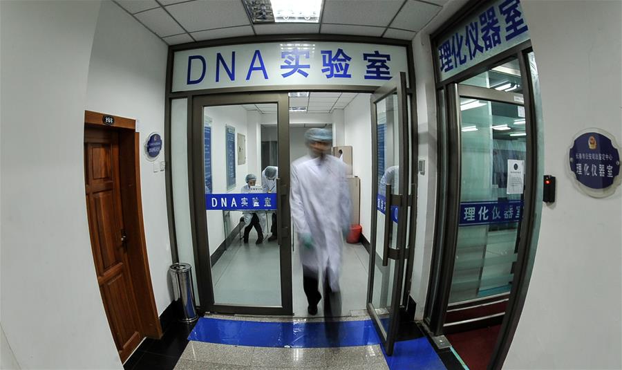 （新華全媒頭條&middot;圖文互動(dòng)）（1）破案懲兇鑄正義&mdash;&mdash;全國(guó)公安機(jī)關(guān)推進(jìn)命案積案攻堅(jiān)行動(dòng)紀(jì)實(shí)