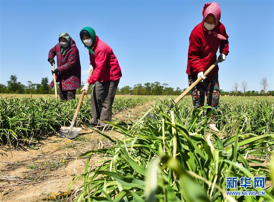 （新華全媒頭條·圖文互動(dòng)）（17）從人民中汲取磅礴力量——習(xí)近平總書記同出席2020年全國兩會(huì)人大代表、政協(xié)委員共商國是紀(jì)實(shí)