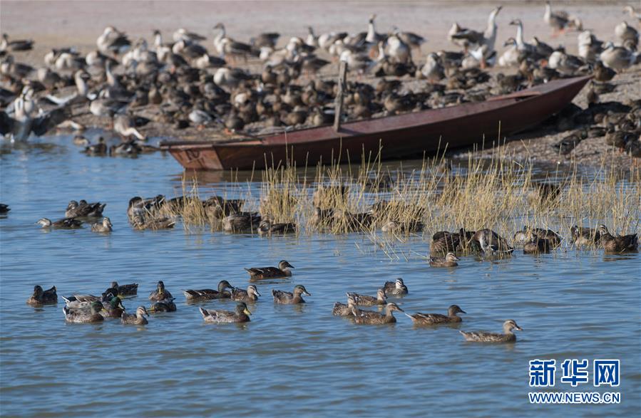（新華全媒頭條&middot;圖文互動(dòng)）（10）奮力書(shū)寫(xiě)東北振興的時(shí)代新篇&mdash;&mdash;習(xí)近平總書(shū)記調(diào)研東北三省并主持召開(kāi)深入推進(jìn)東北振興座談會(huì)紀(jì)實(shí)