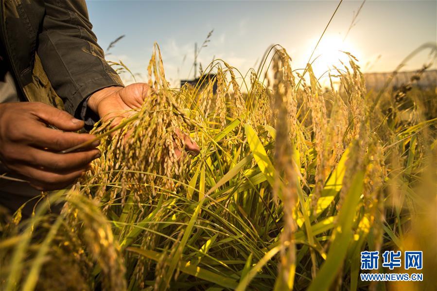 （新華全媒頭條&middot;圖文互動(dòng)）（5）上下同心再出發(fā)&mdash;&mdash;習(xí)近平總書(shū)記同出席2019年全國(guó)兩會(huì)人大代表、政協(xié)委員共商國(guó)是紀(jì)實(shí)