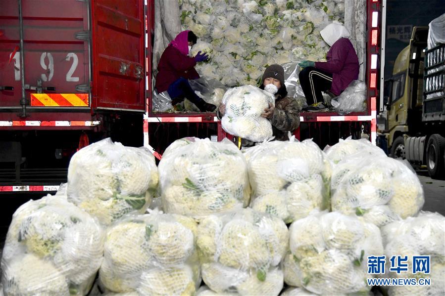 （在習(xí)近平新時(shí)代中國特色社會(huì)主義思想指引下&mdash;&mdash;新時(shí)代新作為新篇章&middot;習(xí)近平總書記關(guān)切事&middot;圖文互動(dòng)）（5）&ldquo;菜籃子&rdquo;里的力量&mdash;&mdash;全國各地努力做好保障和改善民生工作在行動(dòng)