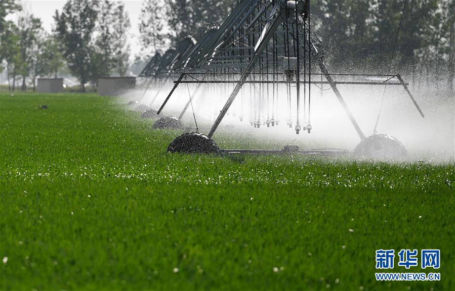 （在習近平新時代中國特色社會主義思想指引下&mdash;&mdash;新時代新作為新篇章&middot;習近平總書記關切事&middot;圖文互動）（3）新農事、新希望&mdash;&mdash;夏收前田間新動態(tài)掃描