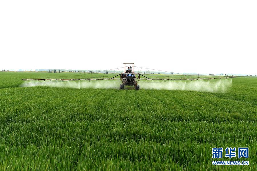 （在習近平新時代中國特色社會主義思想指引下&mdash;&mdash;新時代新作為新篇章&middot;習近平總書記關切事&middot;圖文互動）（10）新農事、新希望&mdash;&mdash;夏收前田間新動態(tài)掃描