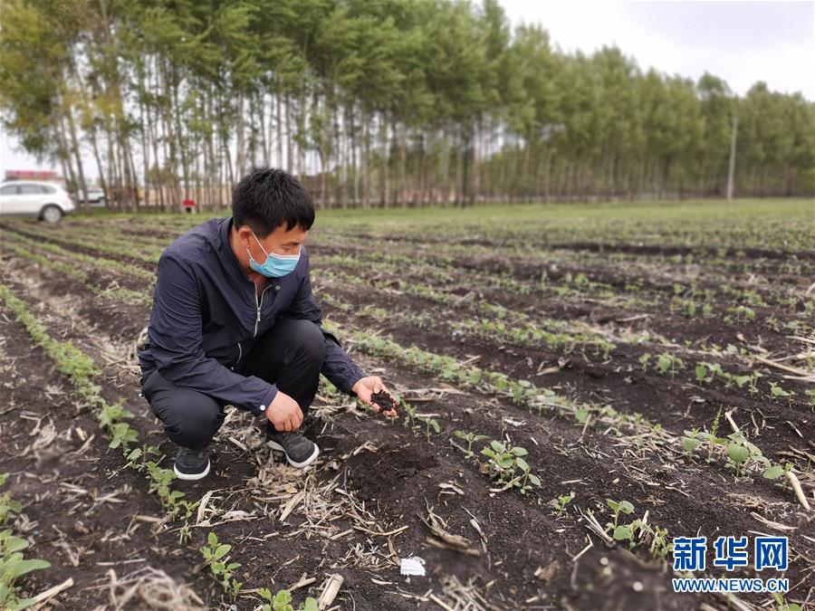 （在習(xí)近平新時(shí)代中國特色社會(huì)主義思想指引下——新時(shí)代新作為新篇章·習(xí)近平總書記關(guān)切事·圖文互動(dòng)）（6）讓每一寸耕地都成為豐收的沃土——我國加強(qiáng)耕地保護(hù)推進(jìn)“藏糧于地”